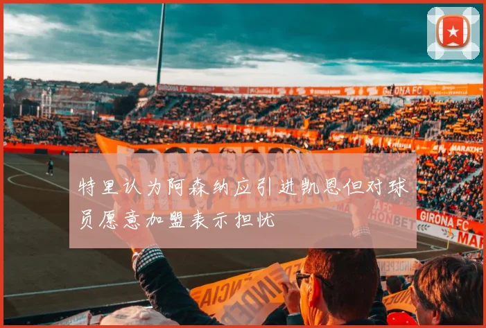 特里认为阿森纳应引进凯恩但对球员愿意加盟表示担忧